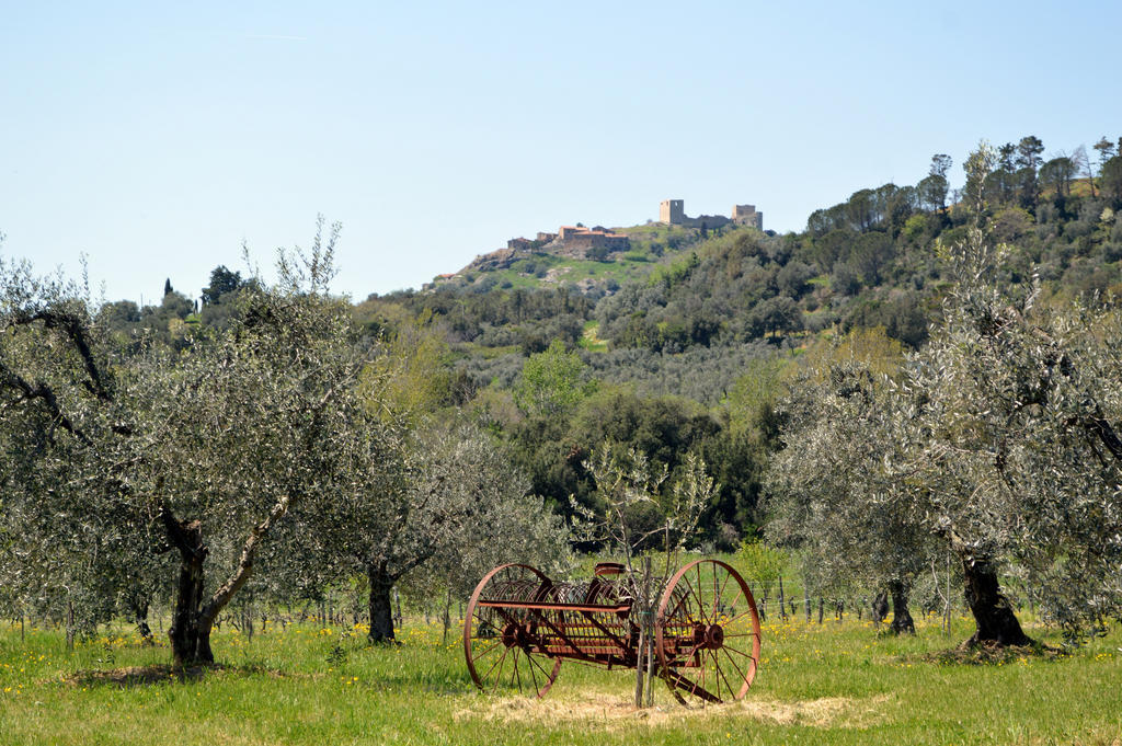 Country House Il Ciliegio Roccatederighi Dış mekan fotoğraf